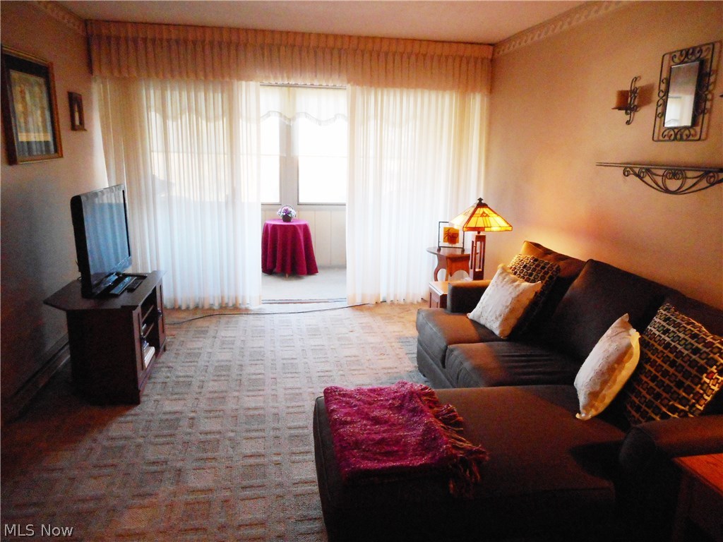 Silver Lake Towers Condo - Residential