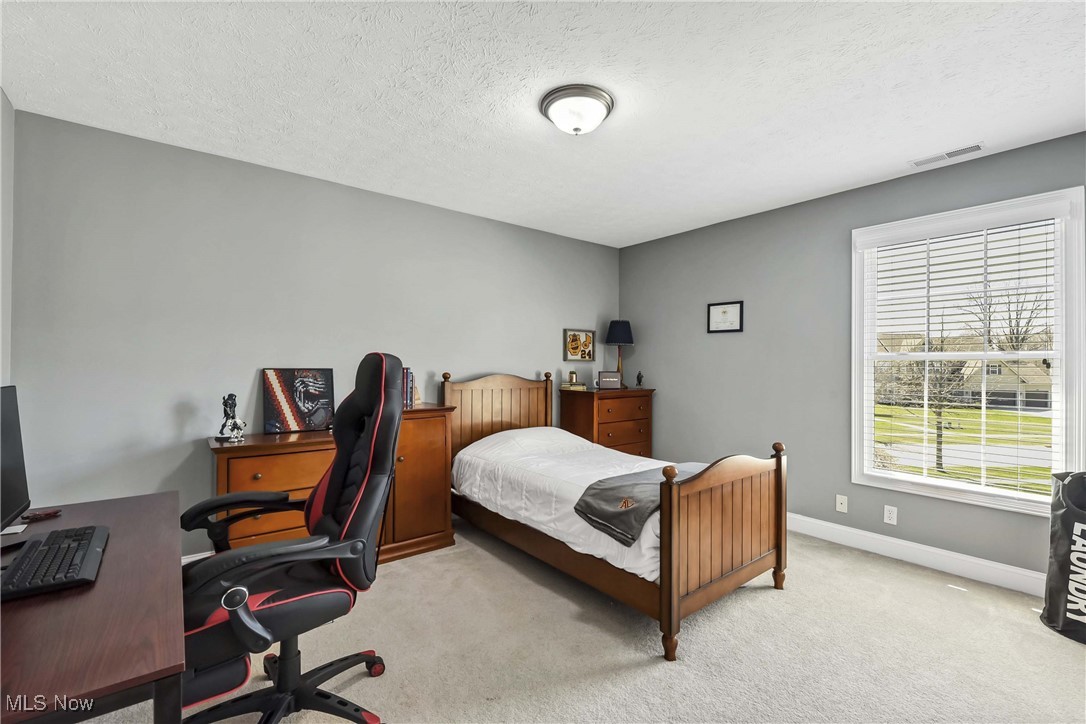32145 Ventanas Circle, Avon Lake, Ohio image 25