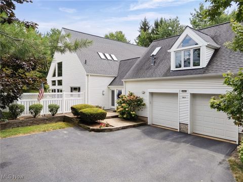 985 Goldenrod Trail Aurora OH 44202