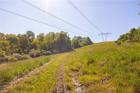 Vacant Land For Sale - 12680 Old Riley Road #3<br/> Frazeysburg, OH 43822