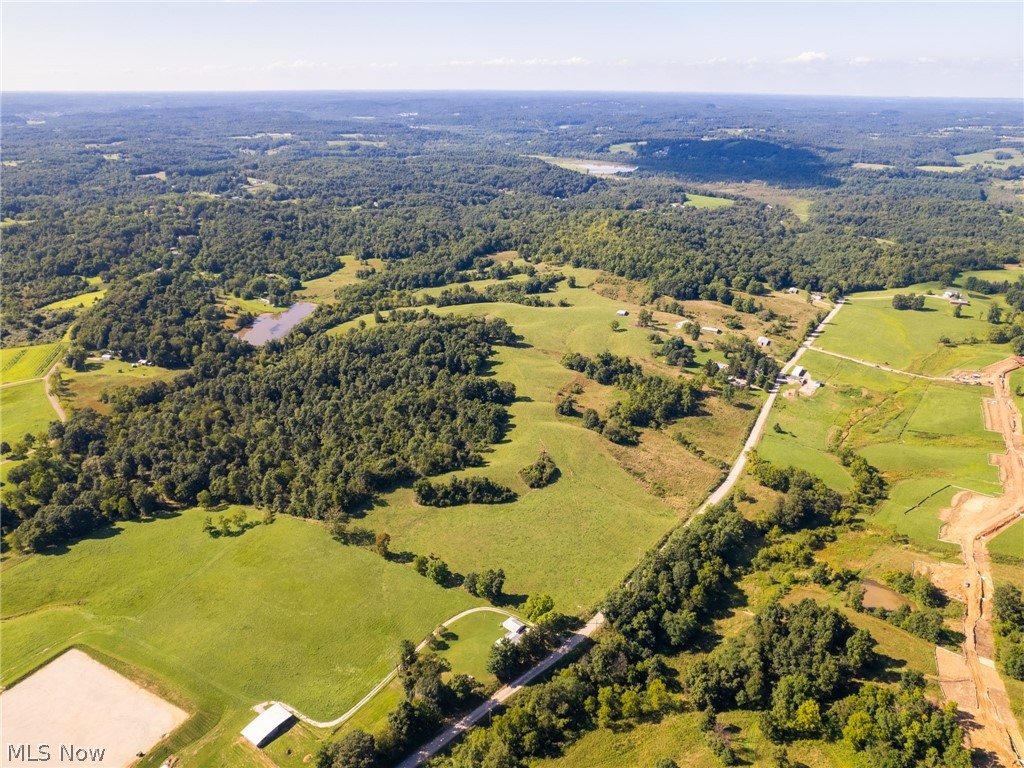 Auction 10/4- Very nice laying farm with excellent building sites, wooded hunting land, farm and pastureland, ponds and so much more. With frontage on 3 roads, this farm has great accessibility and parcels range in size from 4.5 to 29.85 acres respectively and each tract offers something special. Located only 5 miles to Seneca Lake Marina, this farm gives you all the outdoor country feelings. Also included are several older barns usable for cattle and storage. Immediate hunting rights will be granted to successful buyers. Taxes are based on original 113.56 acre parcel and tbd upon splits.