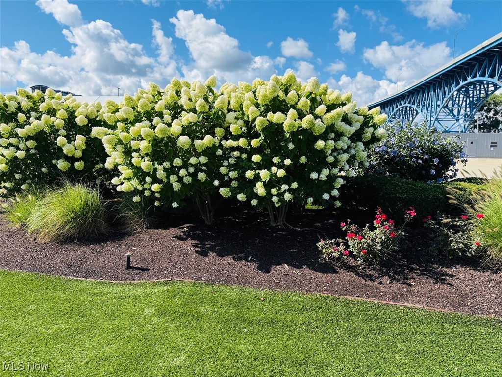 Stonebridge Plaza Condo - Residential Lease