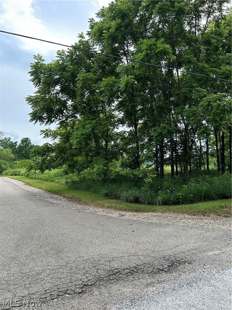 Vacant Land For Sale - Riverdale Street<br/> Bolivar, OH 44612