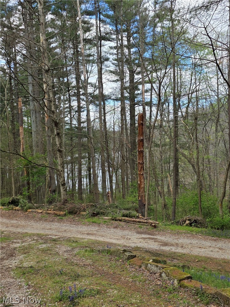 Lakeshore Park - Residential