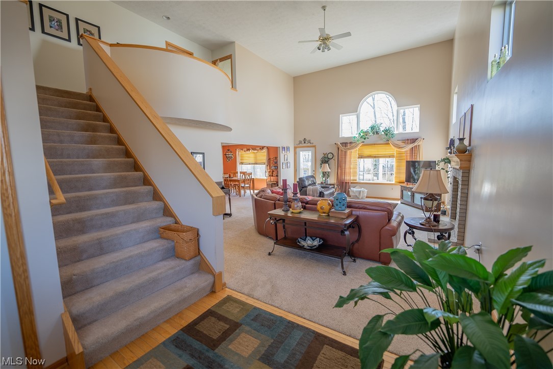 South Point Meadows - Residential