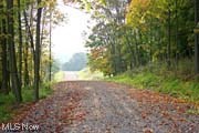 Lot 1 Cattle Drive, Barnesville, Ohio image 2