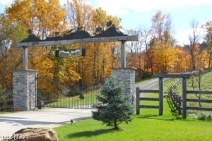 Lot 1 Cattle Drive, Barnesville, Ohio image 5