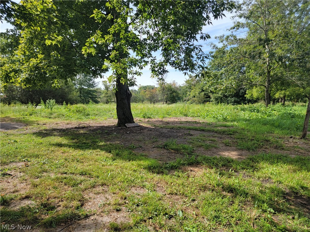 Nelson - Residential