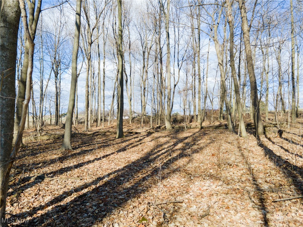 County Road 160, Millersburg, Ohio image 17