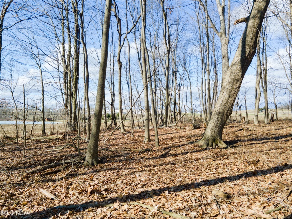 County Road 160, Millersburg, Ohio image 18