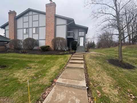 7090 Bristlewood Drive H Concord OH 44077