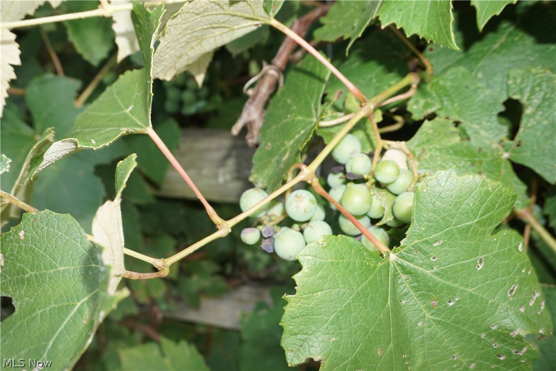 Sullivan - Residential