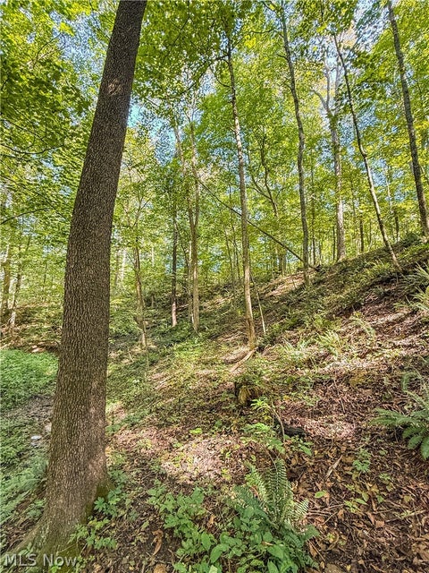 Tiny photo for 29556 Township Road 209, Coshocton, OH 43812 (MLS # 5246854)