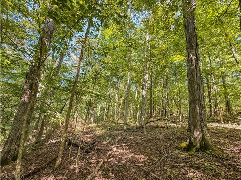 Tiny photo for 29556 Township Road 209, Coshocton, OH 43812 (MLS # 5246854)