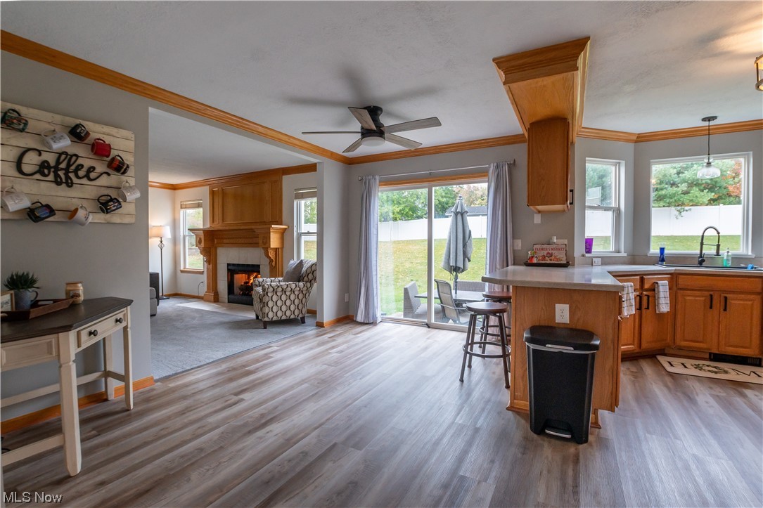 Mystic Pointe Sub - Residential