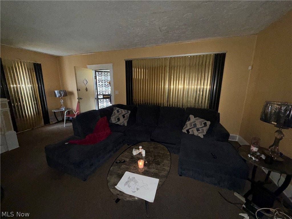 Photo of 14609 Alder Avenue, East Cleveland, OH 44112 (MLS # 5192400)