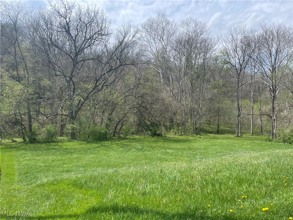 Nelson Estates II SD - Land