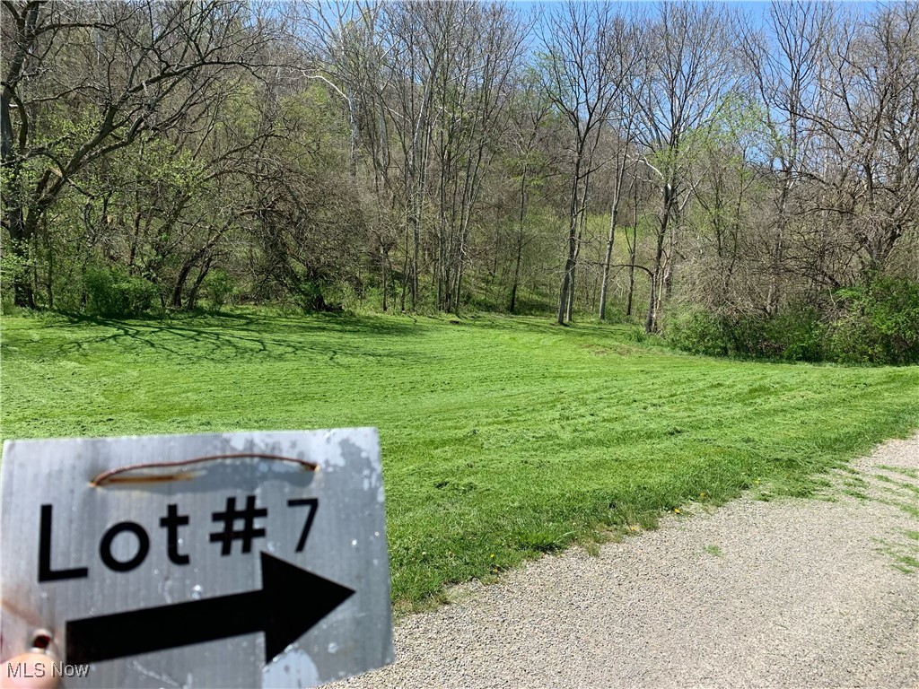 Nelson Estates II SD - Land