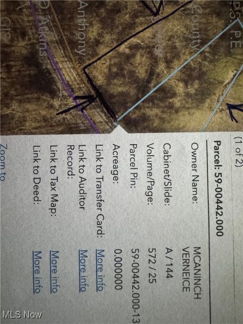 Vacant Land For Sale - Ferryview Road<br/> Martins Ferry, OH 43935