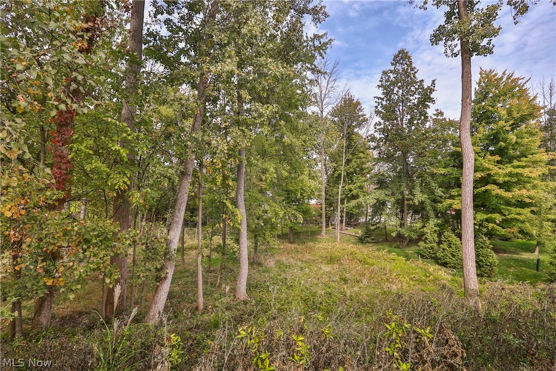 Scenic Hlnds - Residential