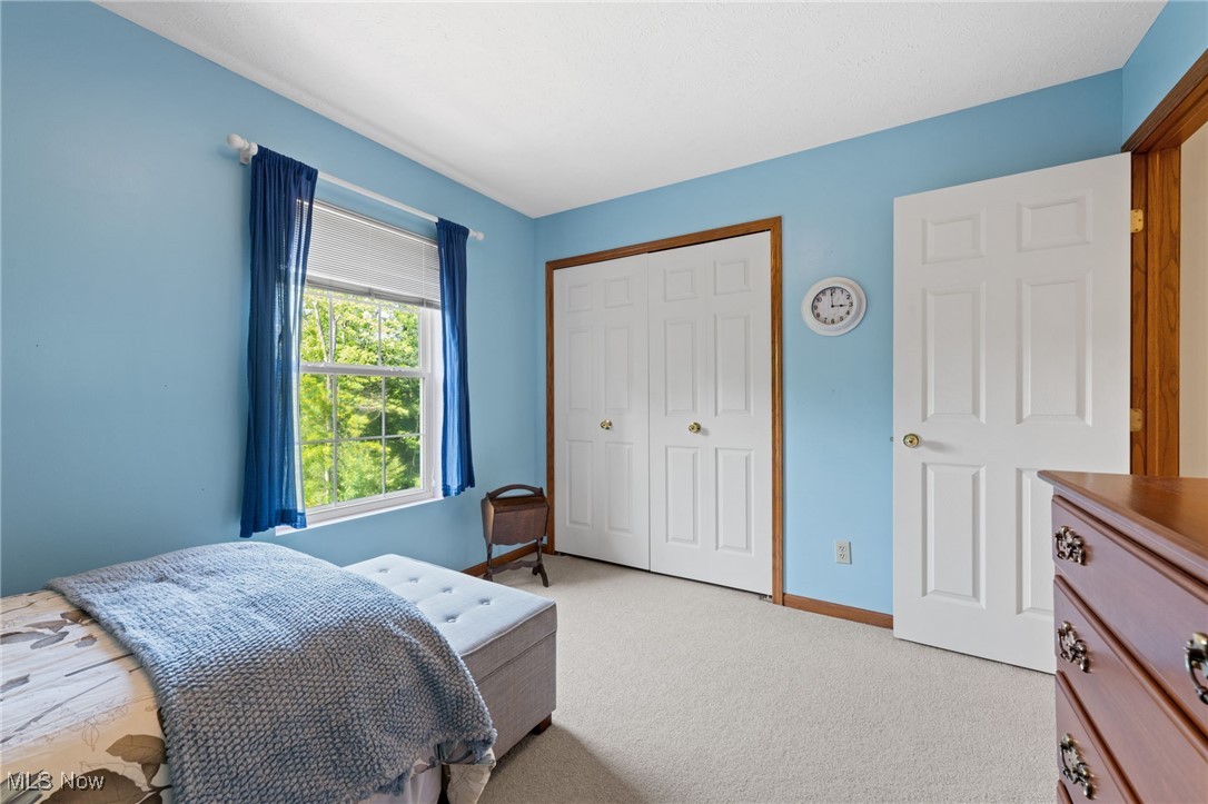 Woods of Burlington - Residential