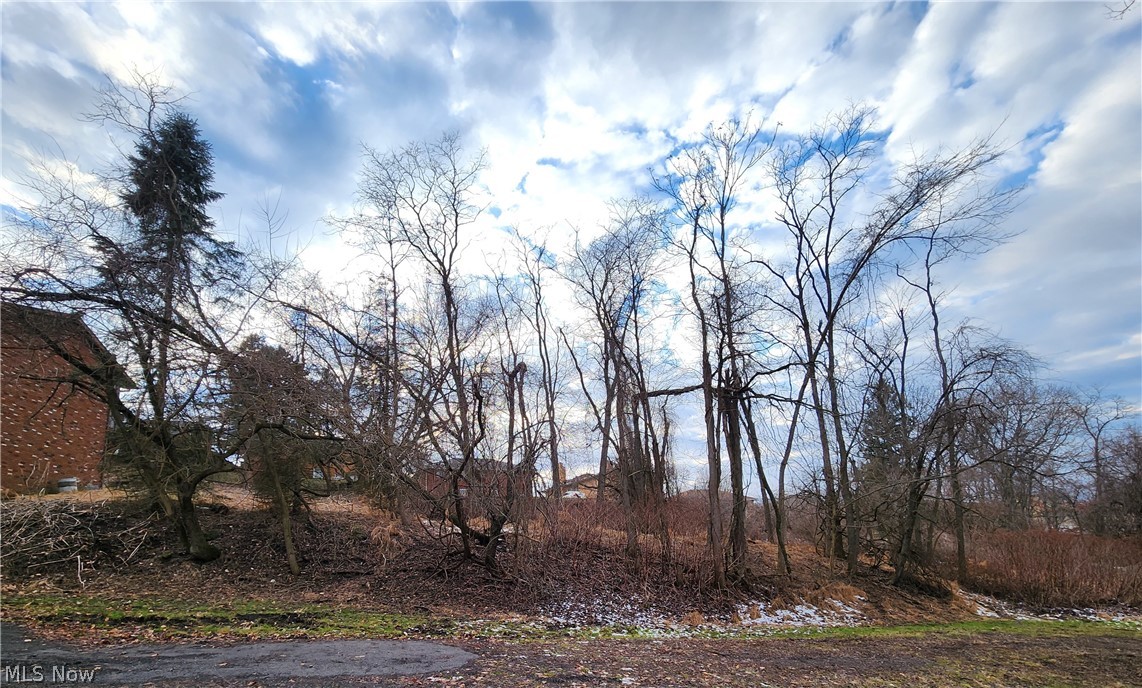 Lot A - .46 Acres - View Street, Weirton, West Virginia image 5