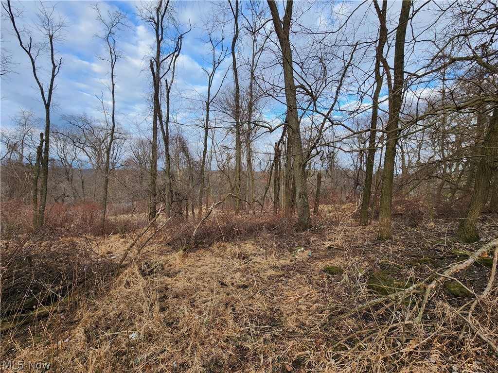 Lot A - .46 Acres - View Street, Weirton, West Virginia image 15