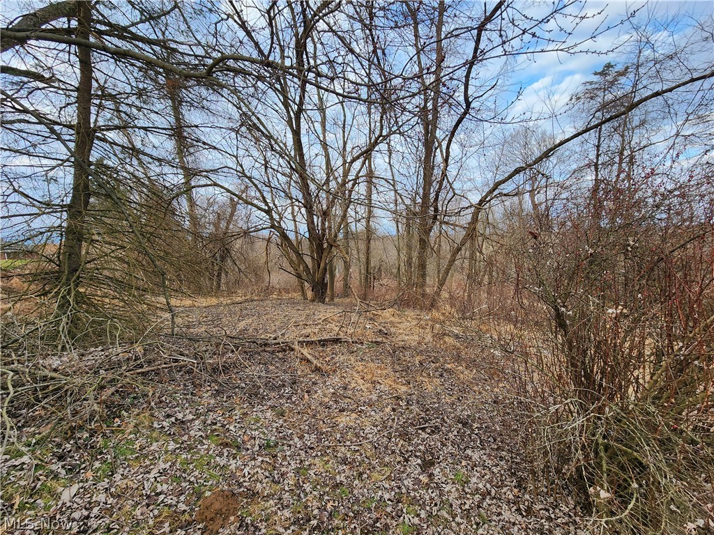 Lot A - .46 Acres - View Street, Weirton, West Virginia image 13