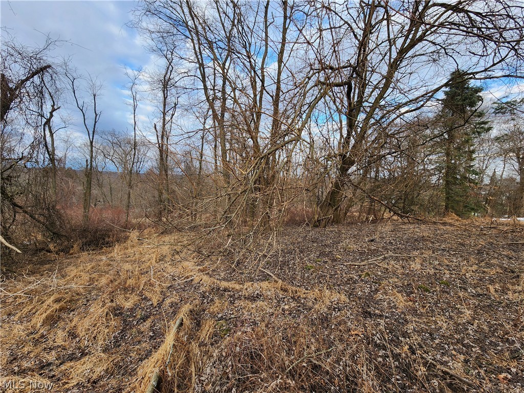 Lot A - .46 Acres - View Street, Weirton, West Virginia image 11