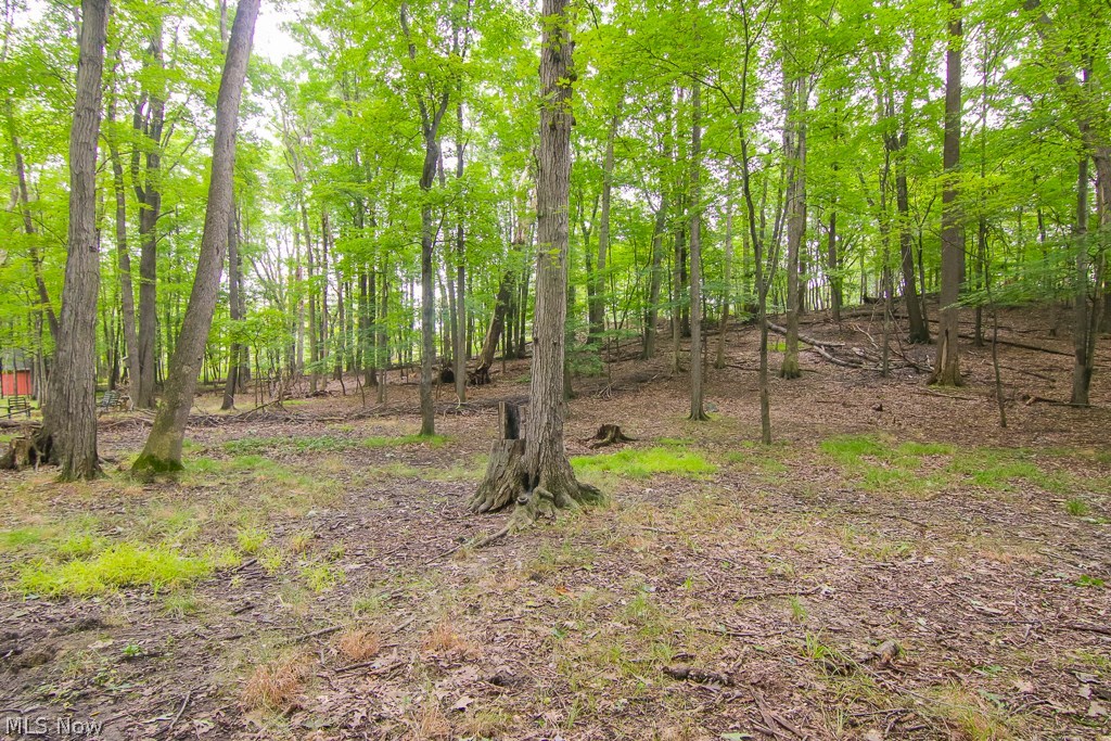 Dogwood Estates - Residential