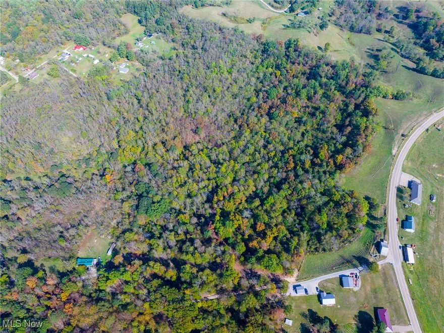 This 34.78-acre hunting property in Cambridge, OH, is a prime opportunity for outdoor enthusiasts and hunters alike. Featuring a gravel driveway leading to a potential cabin site, the land is well-equipped with trails throughout, making access easy and enjoyable. The property boasts abundant wildlife habitat, offering excellent hunting potential. With young timber already established, there's also future value in the land. Whether you're looking for a peaceful retreat or a hunter’s paradise, this beautiful property is full of promise.