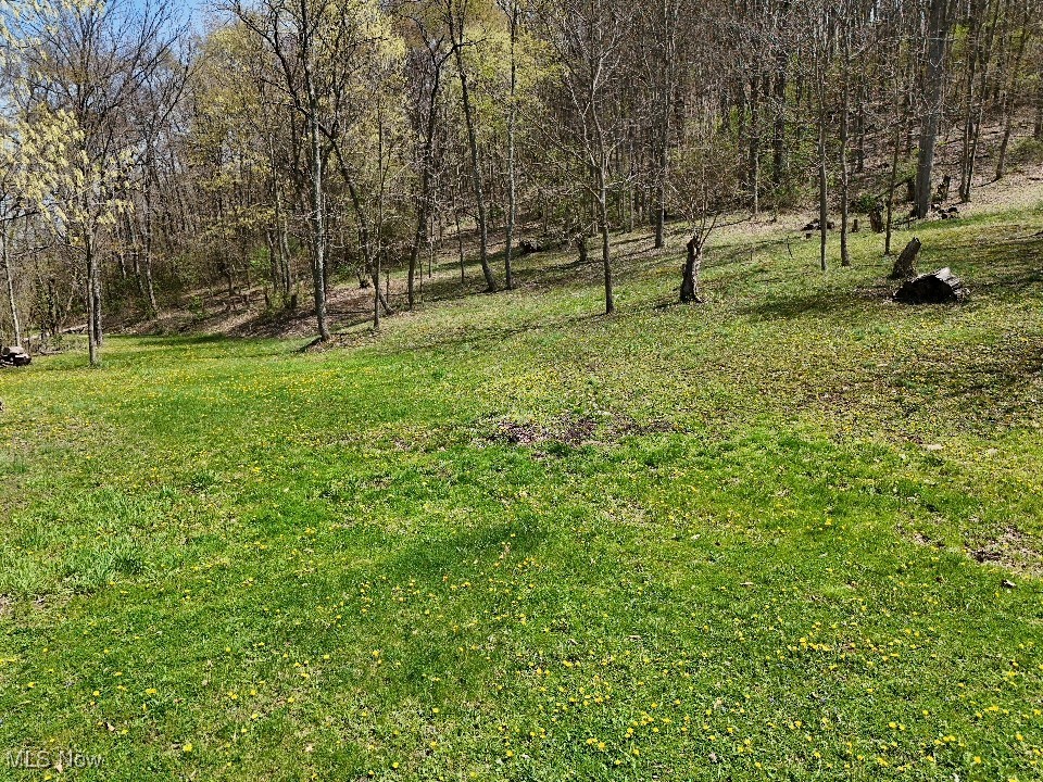 Cr-39, Bloomingdale, Ohio image 4