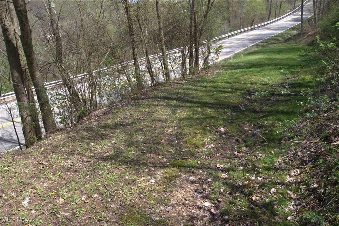 Cr-39, Bloomingdale, Ohio image 7