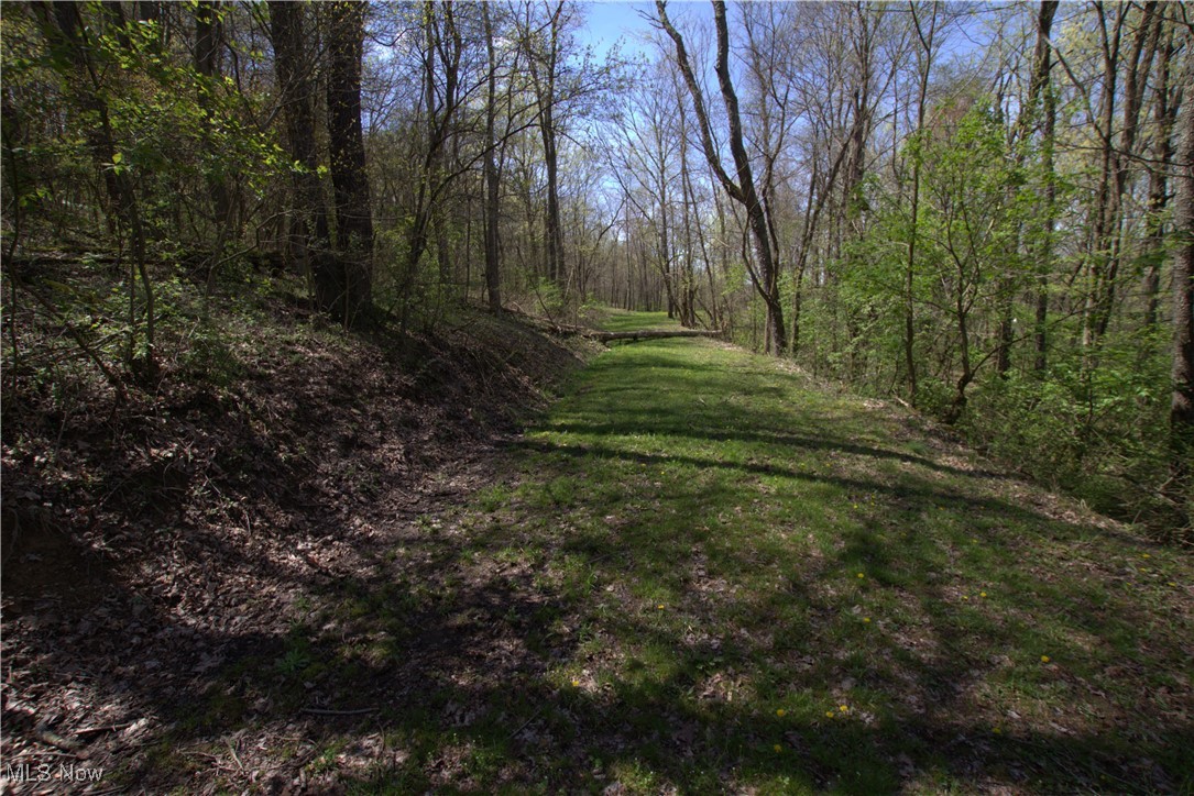 Cr-39, Bloomingdale, Ohio image 8