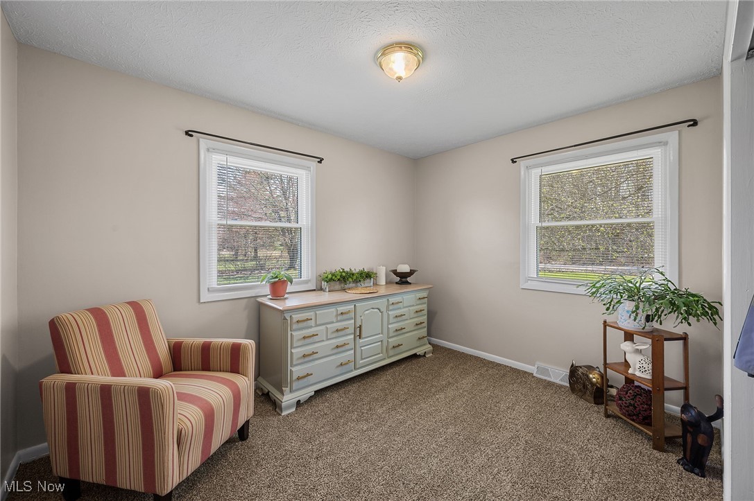 5191 Boughner Road, Rock Creek, Ohio image 18