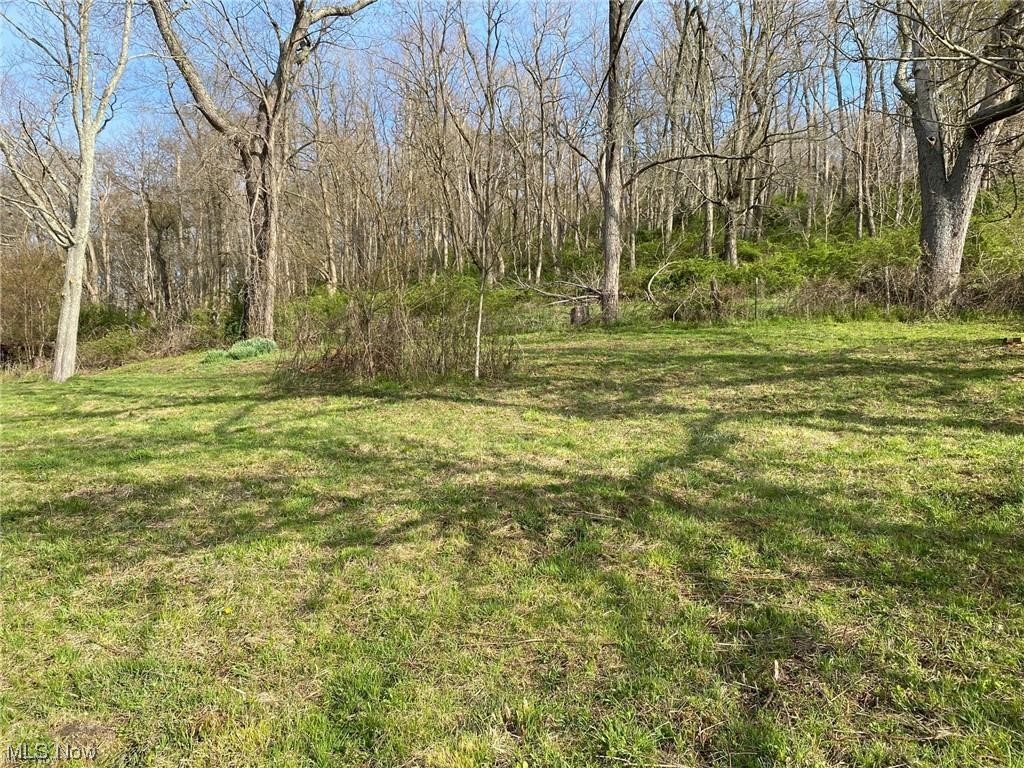 Ready to Build! This lot contains just under 1/2 an acre and is ready for you to live on, camp on, or just enjoy. There is an existing well and older septic system on the property and the owner has already paid for the electric hook-up. Call today for more information. Use extreme caution when pulling out of driveway. Do not pull all the way up into driveway unless you have 4 Wheel Drive