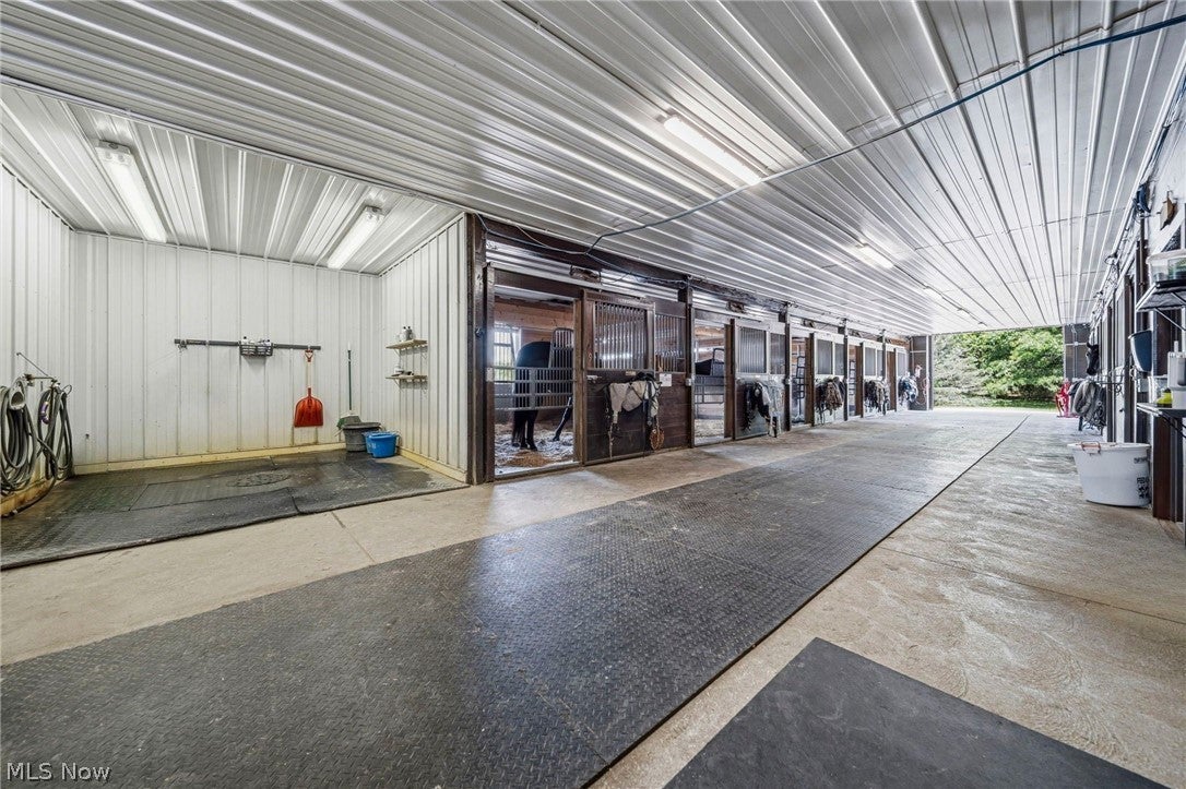 3126 Mennonite Road