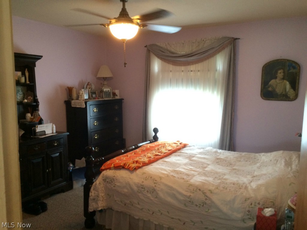 Exeter Park Allotment - Residential