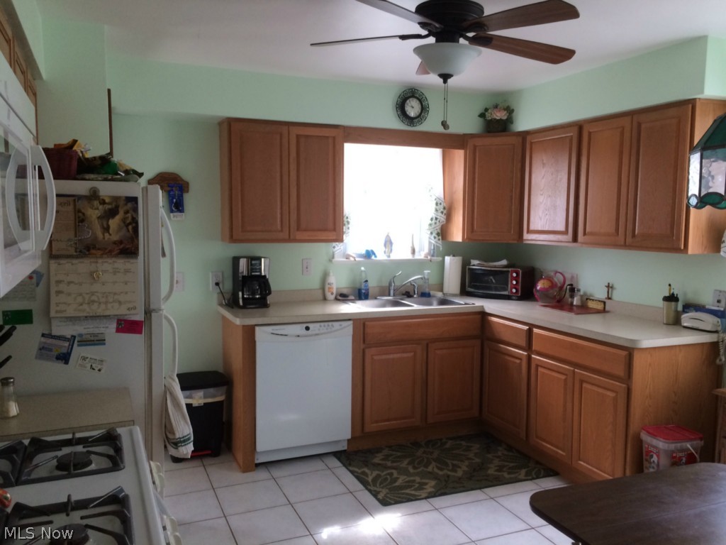 Exeter Park Allotment - Residential