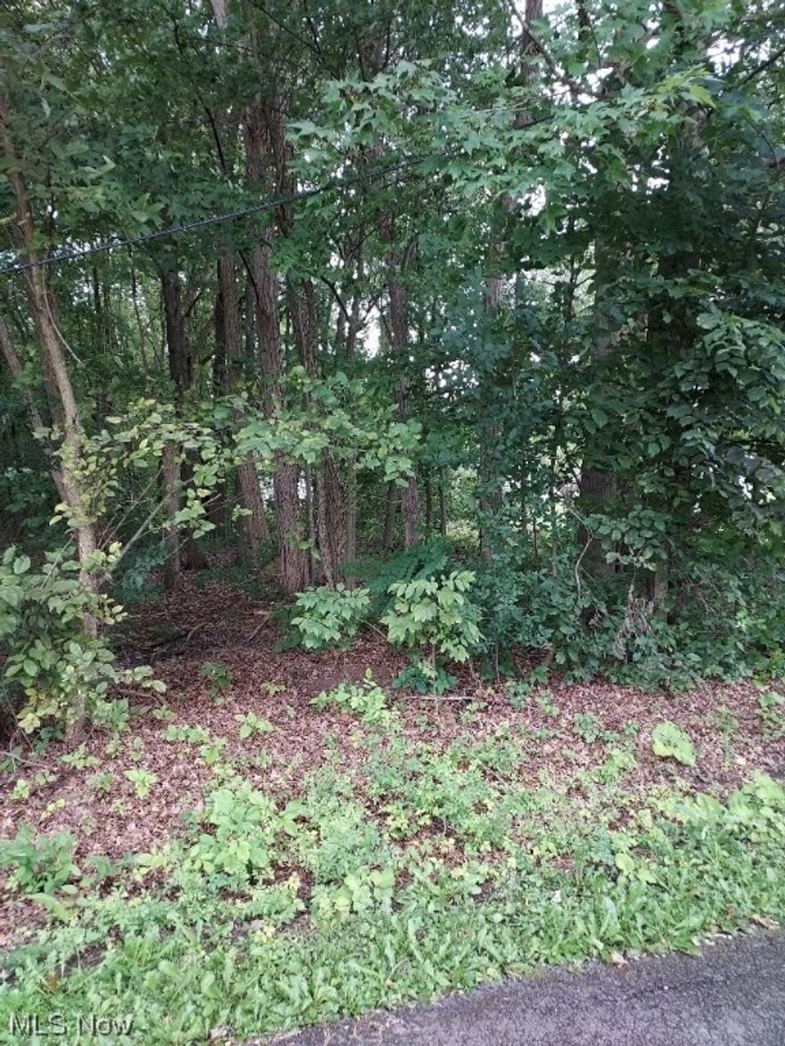 Single, partially wooded lot ready for your dream lake home. Gas, electric, water and sewer available at street.  Lot grandfathered in and buildable. Zoning/building information is available. Requirements include minimum square footage of 960 SF, excluding garage and porches. Easy stroll to beautiful Lake Milton State Park. Swim, picnic, fish and boat your days away. Enjoy the local golf courses and wineries. Start living the beach life!