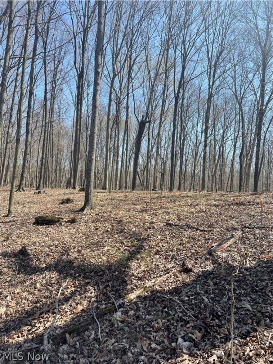 3.46 acres on a hilltop setting at Burr Oak State Park area.  This land is the perfect setting for a home or cabin. Access to this property is a right of way. The owner built a road to the property years ago, the road will need to upgraded to use with vehicles. 
Burr Oak water tap is $1025, would need to check with them on the placement of tap, the owner would need to run a water line of approximately 900'.