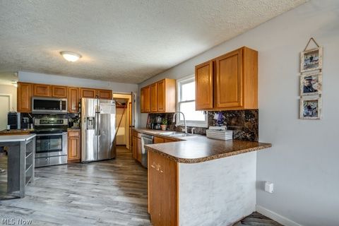 Tiny photo for 1282 Cordova Avenue, Akron, OH 44320 (MLS # 5178917)