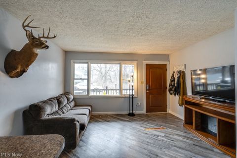 Tiny photo for 1282 Cordova Avenue, Akron, OH 44320 (MLS # 5178917)