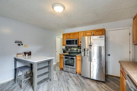 Tiny photo for 1282 Cordova Avenue, Akron, OH 44320 (MLS # 5178917)