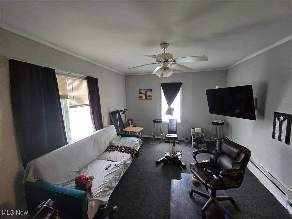 4385 Burkey Road, Austintown, Ohio image 4