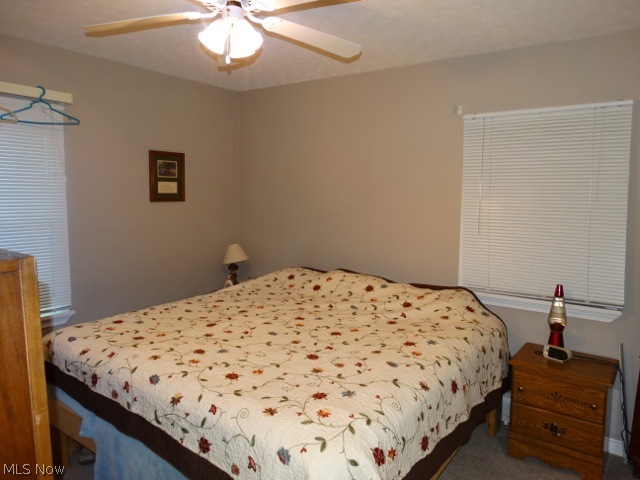 Dairy Queen Allotment - Residential