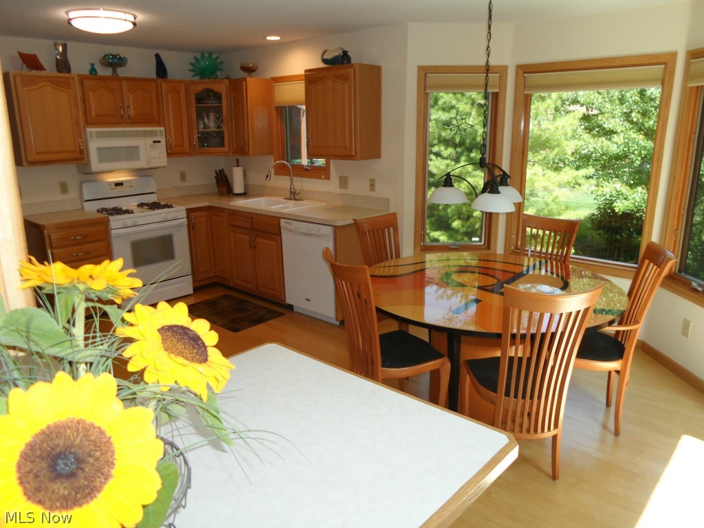 Serenity Hollow Cluster Homes - Residential