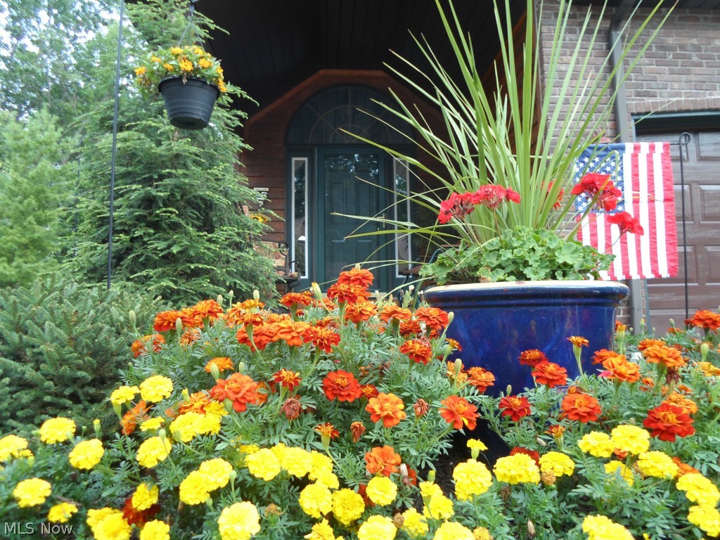 Serenity Hollow Cluster Homes - Residential