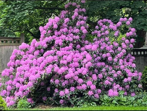 Sunset View - Residential