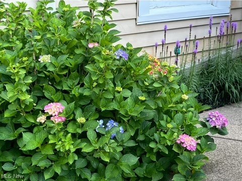 Sunset View - Residential